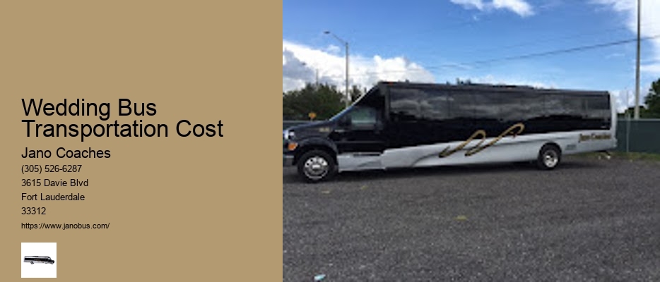 Van Limousine Service