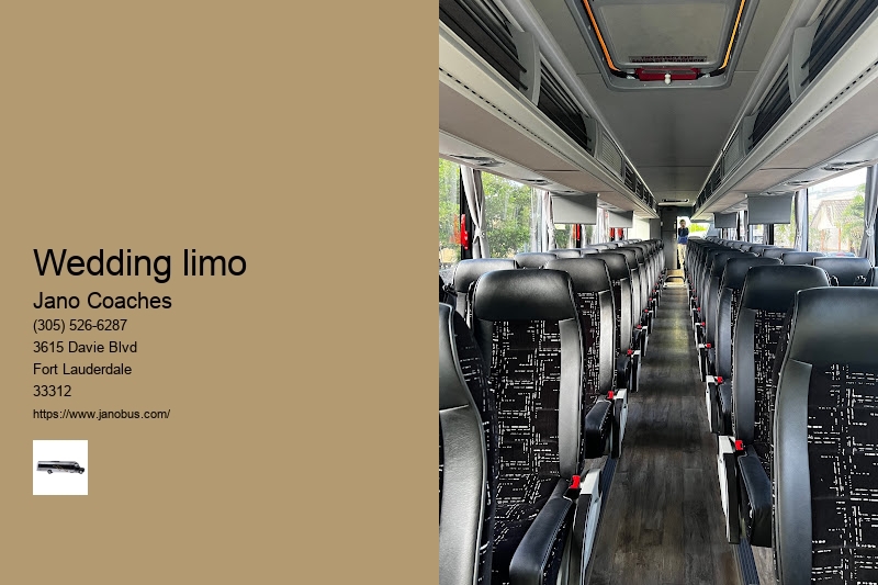 8 Passenger Limo Service